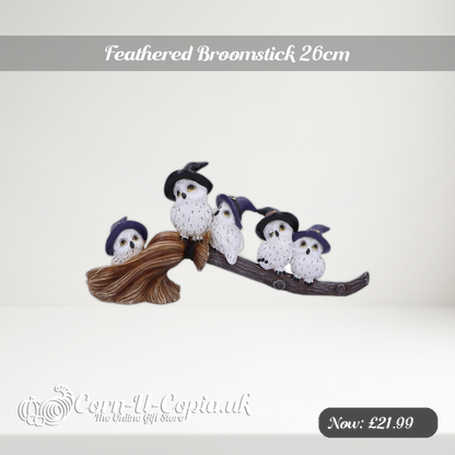 Feathered Broomstick 26cm Ad 2