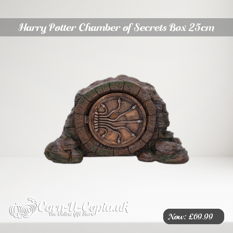 Harry Potter Chamber of Secrets Box 25cm Ad 2