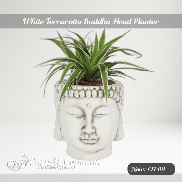 White Terracotta Buddha Head Planter Ad 2