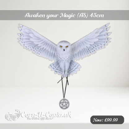 Awaken your Magic (AS) 45cm Ad 2