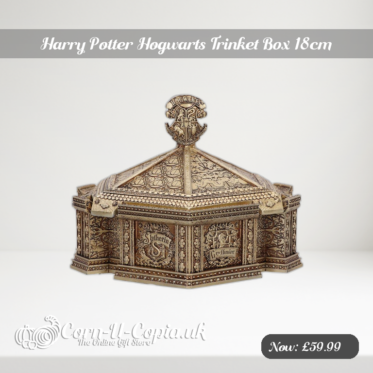 Harry Potter Hogwarts Trinket Box 18cm Ad 2