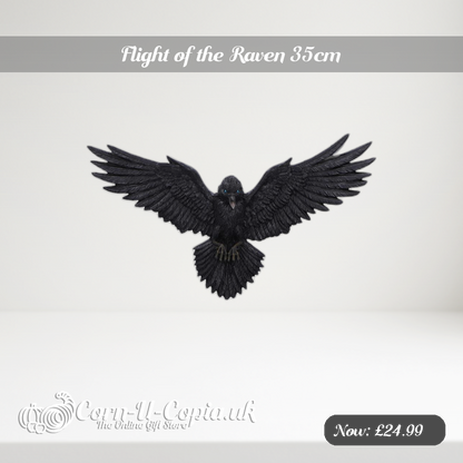 Flight of the Raven 35cm Ad 2