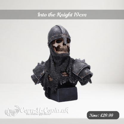 Into the Knight 19cm Ad 2