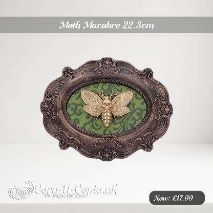 Moth Macabre 22.3cm Ad 2