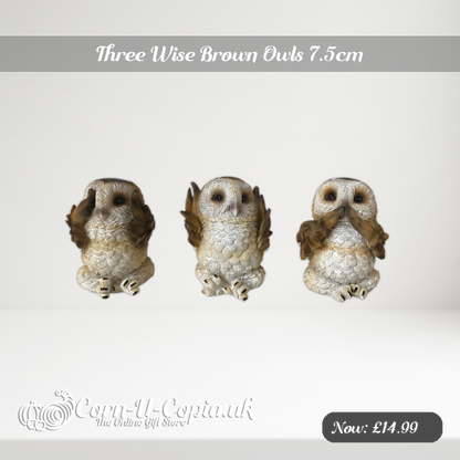 Three Wise Brown Owls 7.5cm Ad 2