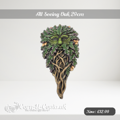 All Seeing Oak 29cm Ad 2