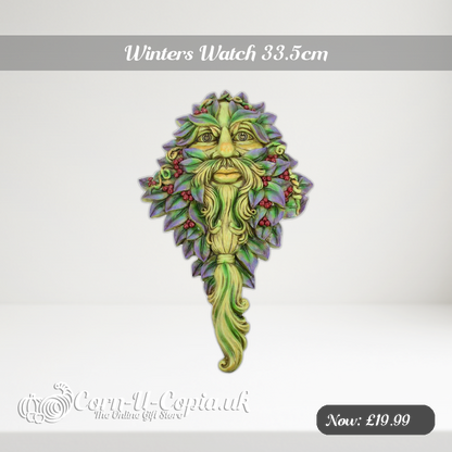 Winters Watch 33.5cm Ad 2