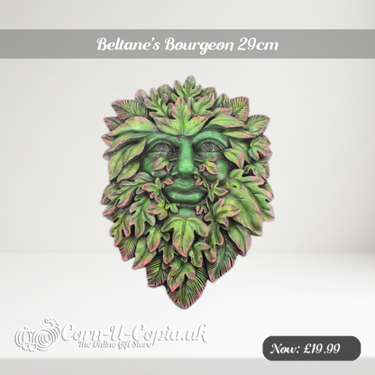 Beltane's Bourgeon 29cm Ad 2