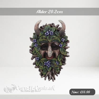 Alder 20.2cm Ad 2