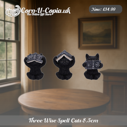 Three Wise Spell Cats 8.5cm Ad 3