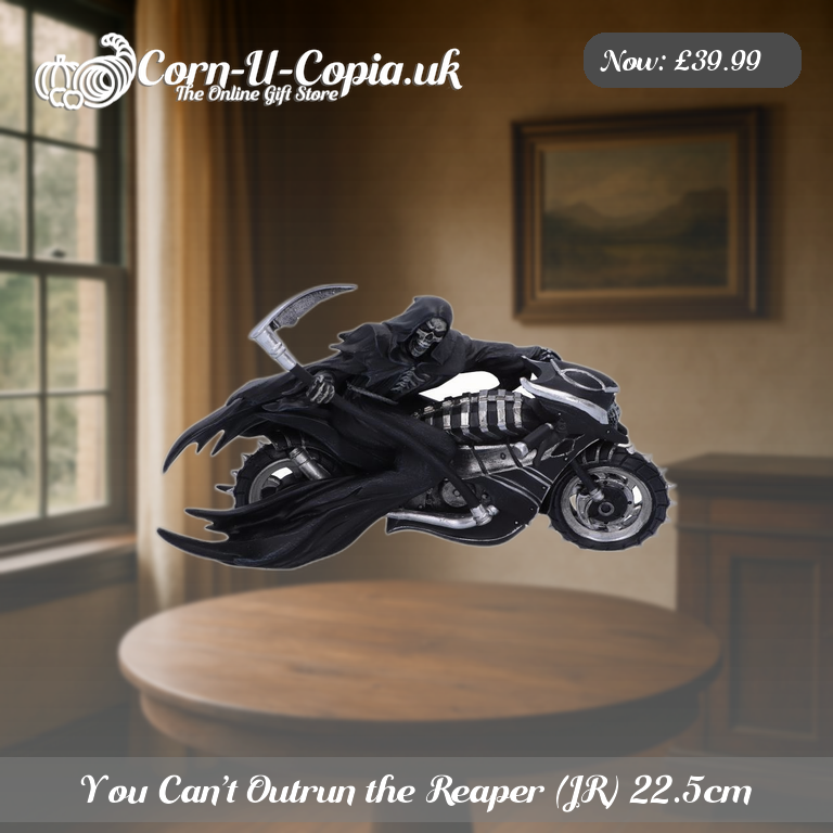You Can’t Outrun the Reaper (JR) 22.5cm Ad 3