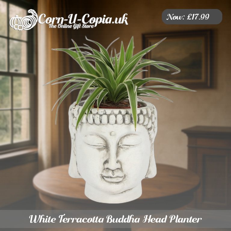 White Terracotta Buddha Head Planter Ad 3