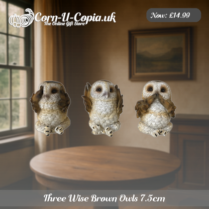 Three Wise Brown Owls 7.5cm Ad 3