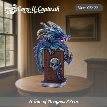 A Tale of Dragons 22cm Ad 3