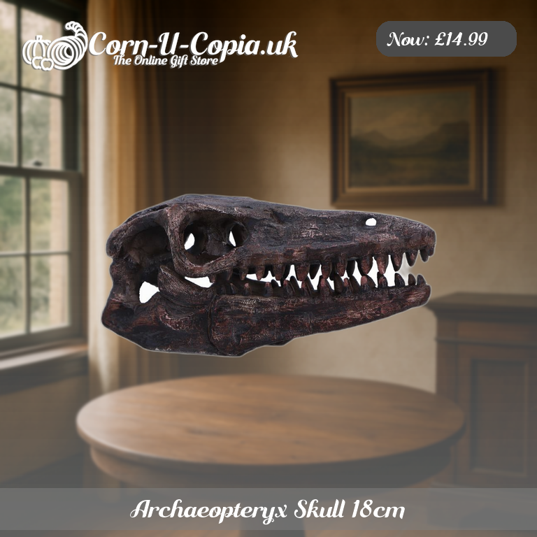 Archaeopteryx Skull 18cm Ad 3