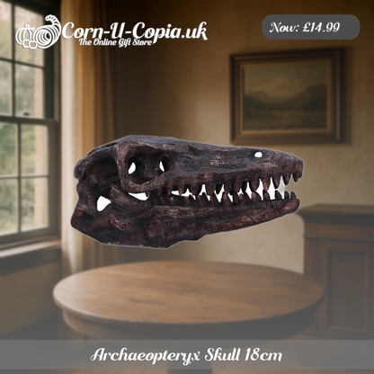 Archaeopteryx Skull 18cm Ad 3