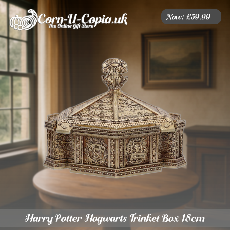 Harry Potter Hogwarts Trinket Box 18cm Ad 3