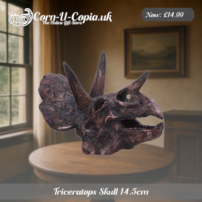 Triceratops Skull 14.5cm Ad 3