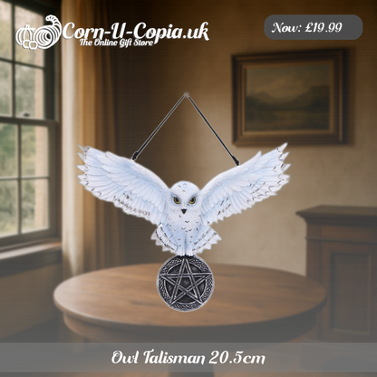 Owl Talisman 20.5cm Ad 3