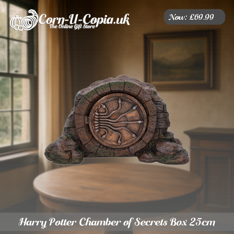 Harry Potter Chamber of Secrets Box 25cm Ad 3