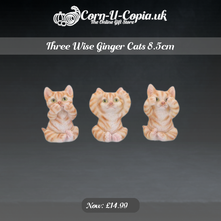 Three Wise Ginger Cats 8.5cm Ad 4