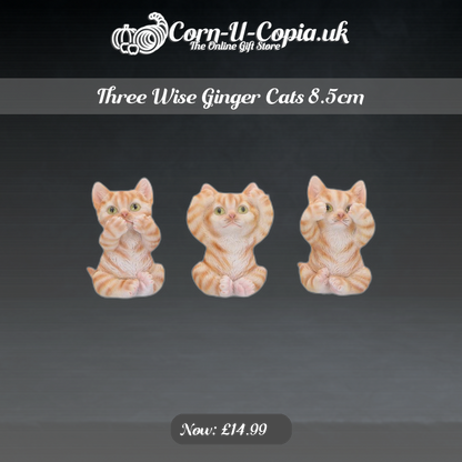 Three Wise Ginger Cats 8.5cm Ad 4