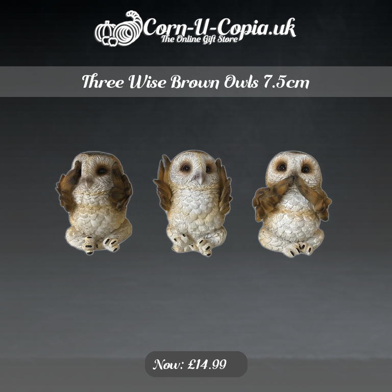Three Wise Brown Owls 7.5cm Ad 4