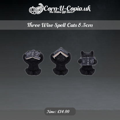 Three Wise Spell Cats 8.5cm Ad 4