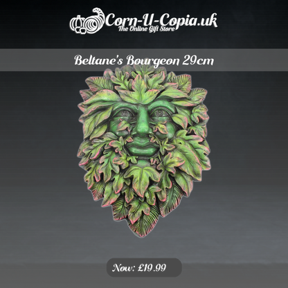 Beltane's Bourgeon 29cm Ad 4