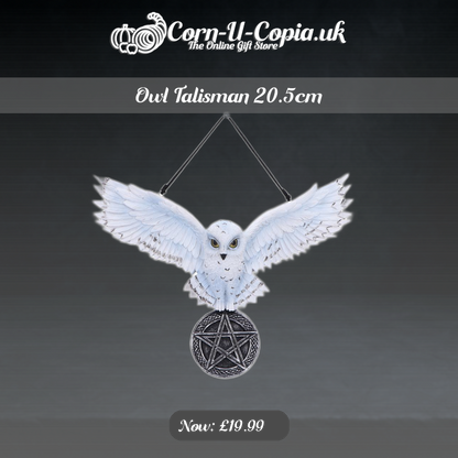 Owl Talisman 20.5cm Ad 4
