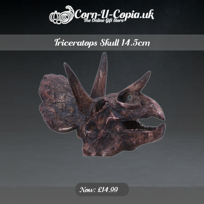 Triceratops Skull 14.5cm Ad 4