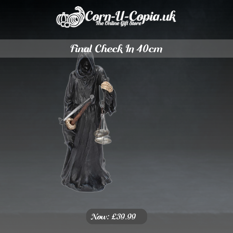 Final Check In 40cm Ad 4