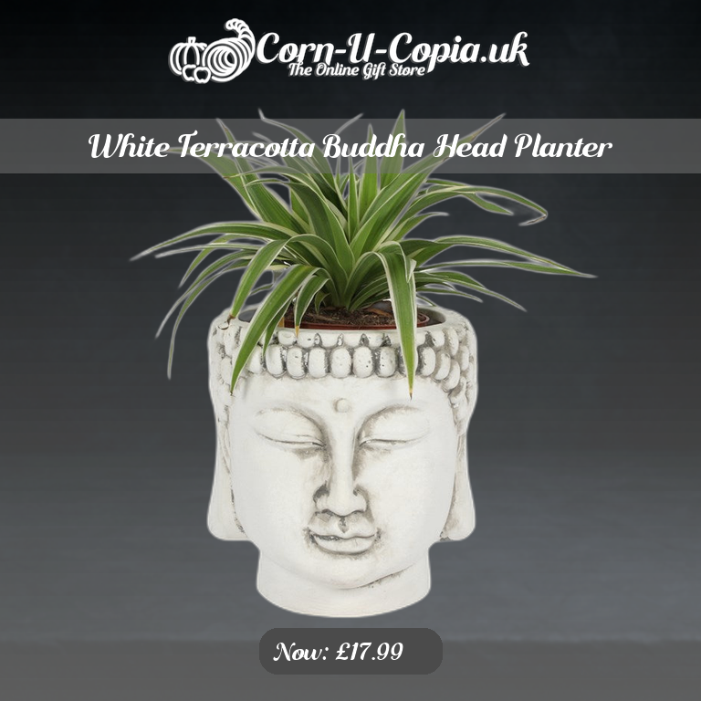 White Terracotta Buddha Head Planter Ad 4
