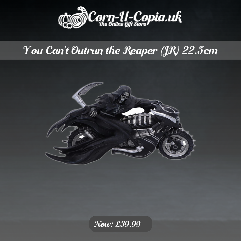 You Can’t Outrun the Reaper (JR) 22.5cm Ad 4