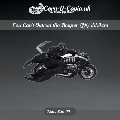 You Can’t Outrun the Reaper (JR) 22.5cm Ad 4