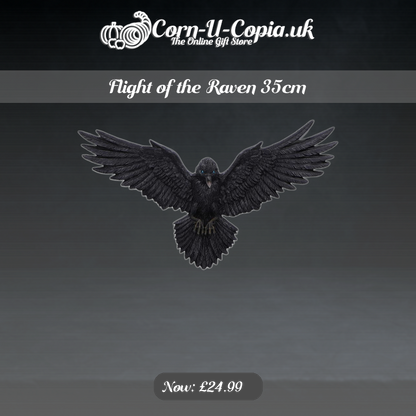 Flight of the Raven 35cm Ad 4