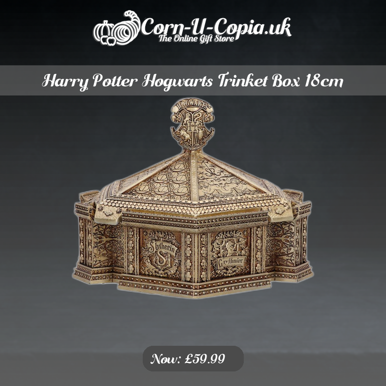 Harry Potter Hogwarts Trinket Box 18cm Ad 4