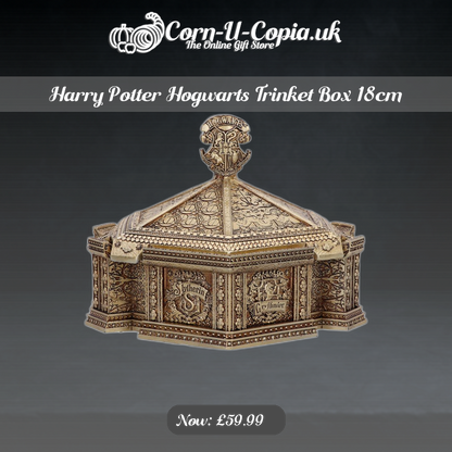 Harry Potter Hogwarts Trinket Box 18cm Ad 4