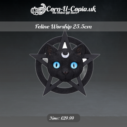 Feline Worship 25.5cm Ad 4