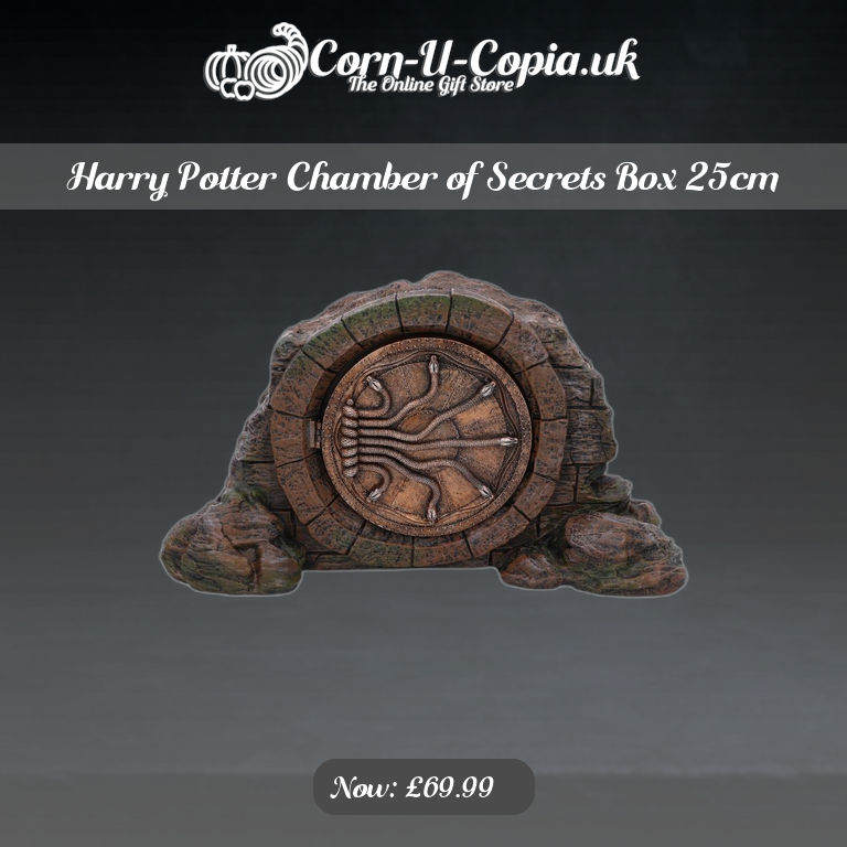 Harry Potter Chamber of Secrets Box 25cm Ad 4