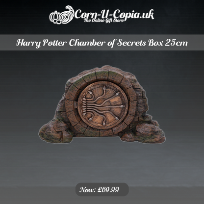 Harry Potter Chamber of Secrets Box 25cm Ad 4