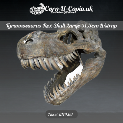 Tyrannosaurus Rex Skull Large 51.5cm B/strap Ad 4