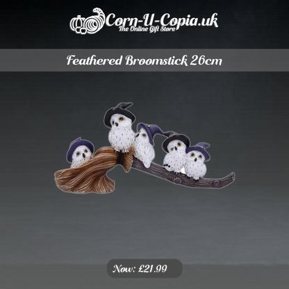 Feathered Broomstick 26cm Ad 4