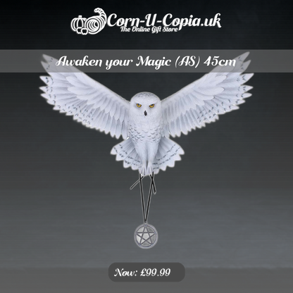 Awaken your Magic (AS) 45cm Ad 4