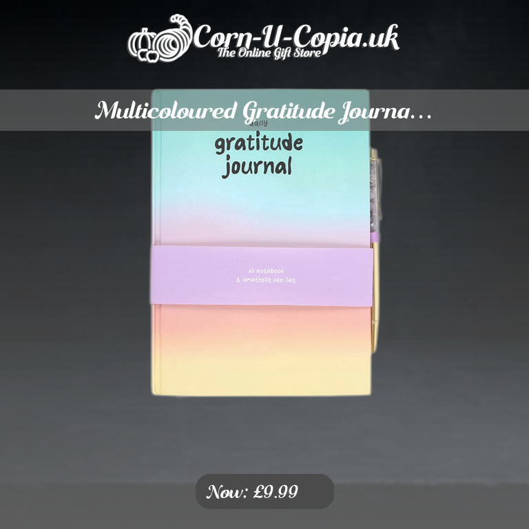 Multicoloured Gratitude Journa… Ad 4