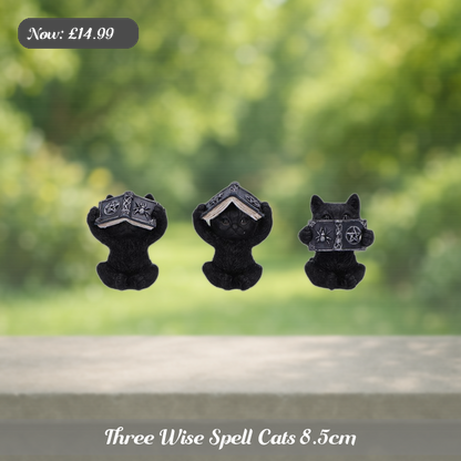 Three Wise Spell Cats 8.5cm Ad 5