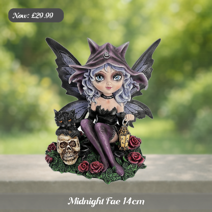 Midnight Fae 14cm Ad 5