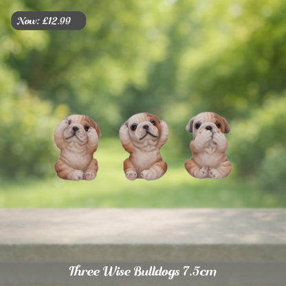 Three Wise Bulldogs 7.5cm Ad 5