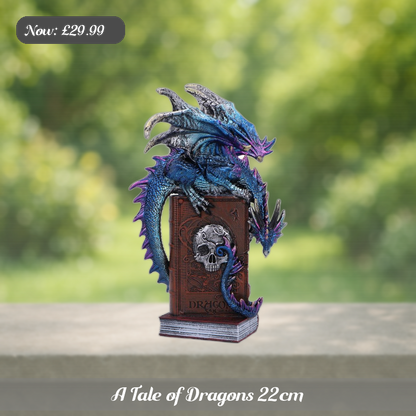 A Tale of Dragons 22cm Ad 5