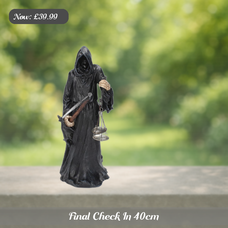 Final Check In 40cm Ad 5